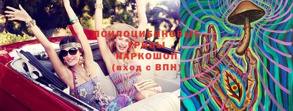 ПСИЛОЦИБИНОВЫЕ ГРИБЫ Арсеньев